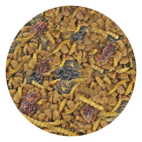 Berries & Bugs (10 lb.) - All Natural High Protein High Fiber Insectivore Diet with Fruit, Gut-Loaded Insects, & Healthy Vitamins - Hedgehogs, Sugar Gliders, Skunks, Opossums & Other Insectivores - size: 10 Pound (Pack of 1)