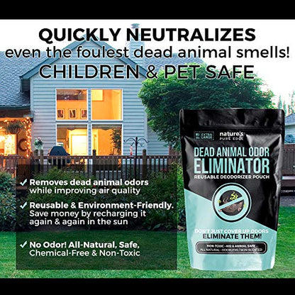 Dead Animal Smell Eliminator Pouch – Fragrance-Free Activated Charcoal Odor Absorber With Specialized Zeolite– Attics, Walls, Crawlspaces. For After Cleanup. Pet & Kid Safe, XL, Covers 375 Sq Ft