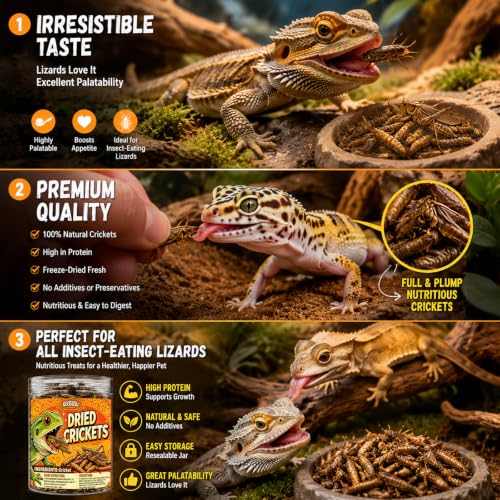 Freeze Dried Crickets – 4 Oz High Protein Freeze Dried Crickets, Food for Reptiles, Bearded Dragons, Lizards, Geckos, Birds, Fish,Hedgehogs, Bearded Dragon Food