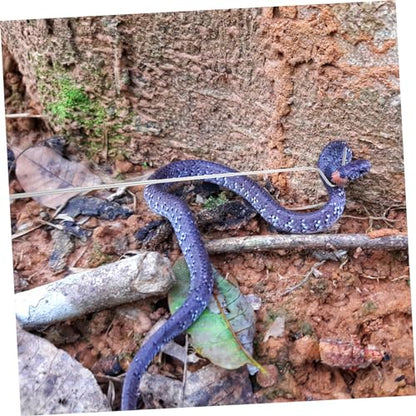 Retractable Snake Hook Extendable Reptile Grabber Tool for Safe Handling and Catching of Snakes Suitable for All of Reptiles and Amphibians