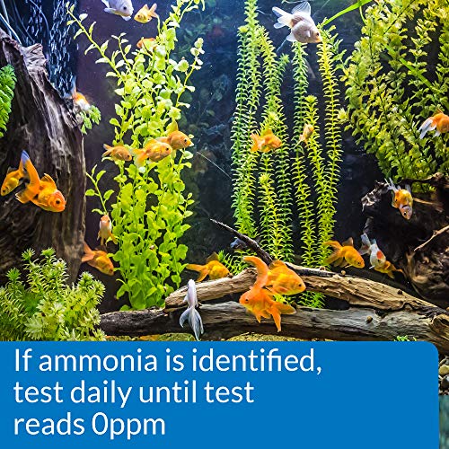 API AMMONIA TEST STRIPS Freshwater and Saltwater Aquarium Water Test Strips 25-Test Box - style: Aquarium Water Testing