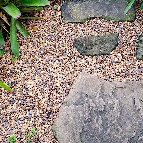 2lbs Natural River Rocks, 1/4" Aquarium Gravel Succulent Cactus | Pea Gravel for Plants, Fish Tank, Decorative Pebbles for Gardening, Flower Pots, Vase, Indoor Water Fountains, Landscaping - size: 1/4 Inch