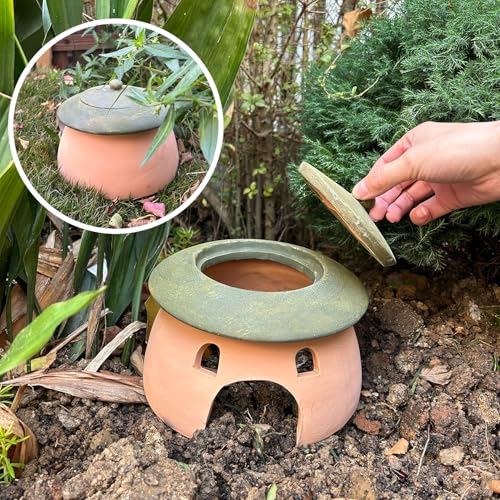 Frog and Toad House 8 x 6Inch Toad House for Outside Garden Reptile Cave Red Pottery Ceramics Small Reptile Cave Hide Reptile Hides and Caves Snake Toad Frog Turtle House Green with Lid