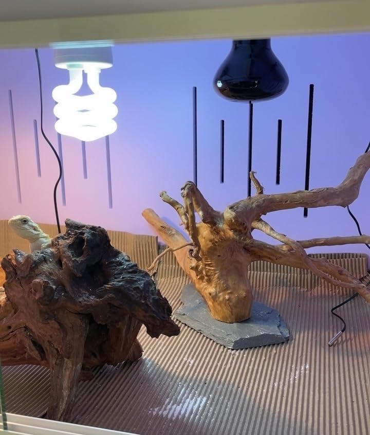 AWXZOM Natural Large Spider Wood Driftwood for Aquarium, Terrarium, Vivarium, and Reptile, Aquarium Décor, Reptile Tank, Aquarium décor Wood Aquascaping Wood for Reptile Enclosure (9-14inch)