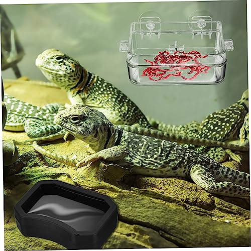 2Pcs Reptile Feeding Dish Escape Bowl with Strong Suction Cup Transparent Food Water Feeder for Lizard Gecko Bearded Dragon Suitable for Various Reptiles