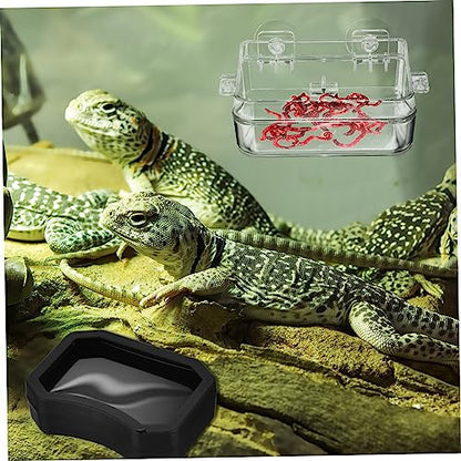 2Pcs Reptile Feeding Dish Escape Bowl with Strong Suction Cup Transparent Food Water Feeder for Lizard Gecko Bearded Dragon Suitable for Various Reptiles
