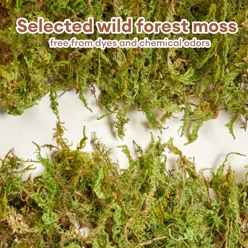 BUCATSTATE 5L Hamster Bedding, Natural Forest Moss Odor Control | Nature Hamsters Substrate Cage Accessories for Dwarf Syrian Hamsters, Mice, Gerbils (Dried Moss)