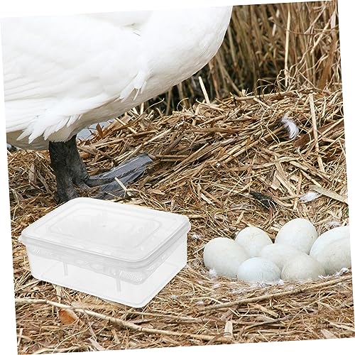 TOYANDONA 2pcs Reptile Egg Incubator Hatchery Box for Lizards Pigeon Eggs Easy to Clean Transparent Design for Observation Reusable Reptile Tool