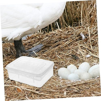 TOYANDONA 2pcs Reptile Egg Incubator Hatchery Box for Lizards Pigeon Eggs Easy to Clean Transparent Design for Observation Reusable Reptile Tool