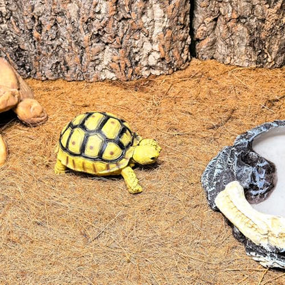 Hamiledyi 78.7x11.8in Reptile Carpet Coconut Fiber Substrate Large Snake Bedding Coco Liner Roll Mat for Bearded Dragon Tortoise Lizard Habitat Pad Garden Decoration - size: 11.8x78.7inch
