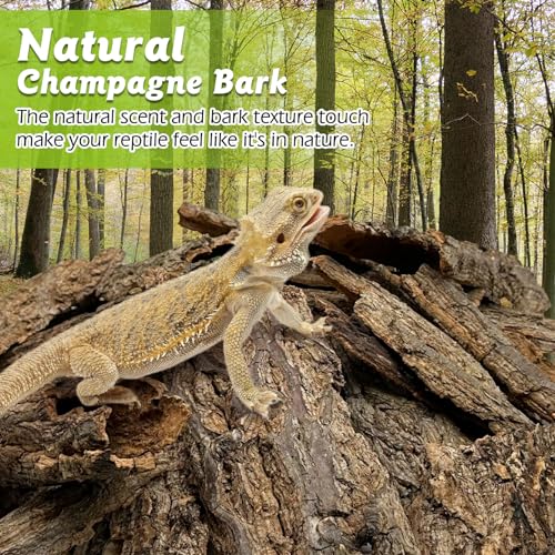Reptile Cork Bark 1 Lb Flat Cork Wood for Terrarium Small Tree Bark Pieces 3.9-5.9in Natural Bulk Cork Bedding Tank Substrate for Bearded Dragon Snake Spiders Geckos Tortoise Hermit Crabs