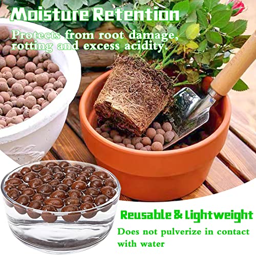 2LB Leca Clay Pebbles for Plants, 4mm-16mm Clay Balls for Hydroponic | Drainage, Reusable, Aeration, Moisture Retention, Lightweight, Natural Leca for Orchids, Succulents, Terrariums, Aquaponics - size: 2LB