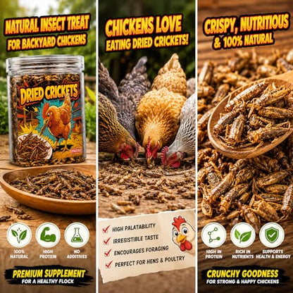 Natural Dried Crickets, Food for Bearded Dragons, Wild Birds, Chicken, Fish, Reptiles & Small Pets (4 oz Resealable Can), High Protein Natural Pet Treats
