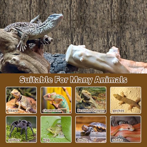 2PCS Cork Terrarium Background 9.84x11.8in Natural Cork Large Bark Backdrop Reptile Climbing Mat Habitat Decor for Spider Lizard Chamelon Turtle Beared Dragon