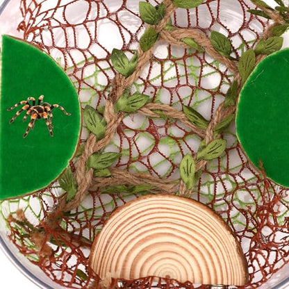 Jumping Spider Enclosure Accessories Kit, 4 Wood Ledges 6 Climbing Webs 1 Hemp Rope Bridge Spider Habitat Decor Enrichment Set for Small Reptile Terrarium Climbing Resting & Exploration