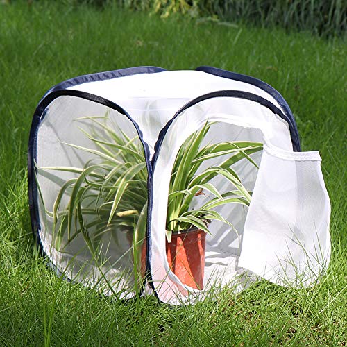 Insect and Butterfly Habitat Cage Terrarium Pop-up 12 X 12 X 12 Inches - color: White With Black, size: 12 x 12 x 12 inches