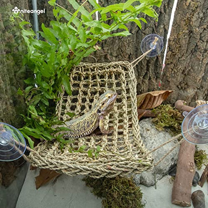 Niteangel Bearded Dragon Seagrass Hammock: Rectangle 16"x 8" & Suction Cups | Add More Climbing Space & Entertainment - Reptile Lounger for Chameleon Lizards Gecko Snakes Lguana Reptiles Tortoises - size: Rectangle 16'' x 8''