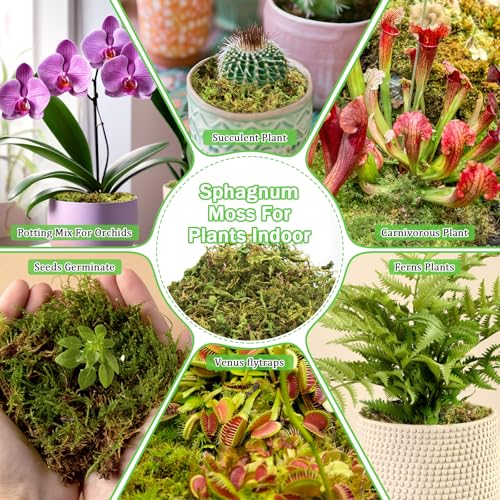 Riare 7OZ Premium Sphagnum Moss for Plants- 10QT Natural Dried Plant Moss | Moisture Retention & Drainage Orchid Moss for Repotting, Succulents, Carnivorous, Ferns, Green Moss for DIY Craft, Reptiles - size: 10 QT(Appx.7oz)