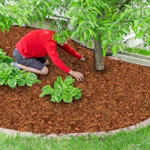 Halatool 2 Pcs Coco Husk Chips for Plants - 2.2 LB 100% Organic Coconut Coir Chips with Low EC and pH Balanced, Compressed Coco Substrate Growing Mulch Medium for Landscaping, Herbs, Plants, Flowers - color: 2pcs