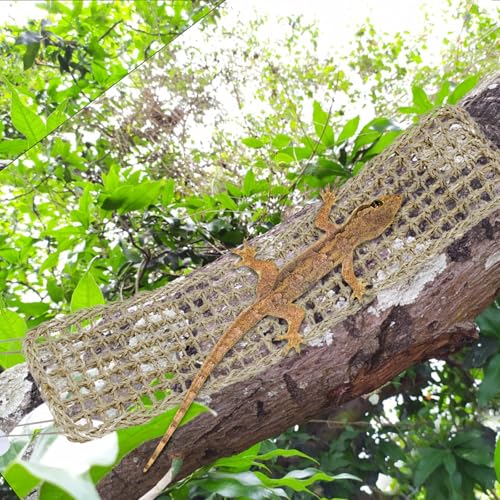 3 Pieces Bearded Dragon Hammock Reptile Hammock Lizard Climbing Lounger with 12 Metal Buckles 12 Suction Cups Tank Accessories Jungle Toys for Hermit Crab Gecko Snake Iguana Amphibian Habitat