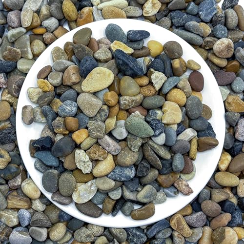 SIDONG 10LB Natural Aquarium Gravel, Small River Rocks for Fish Tank, Garden & Vase Decor - 2/5 Inch Pea Gravel, 8-12mm Polished Stones for Landscaping, Potted Plants, Terrarium - color: 10lb, size: 8-12mm