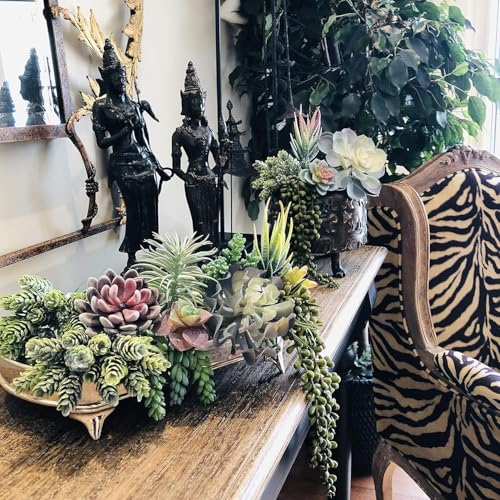 caqpo Premium Fake Succulents: Artificial Succulent Plants Decor - 30 Pack - size: 30Pack