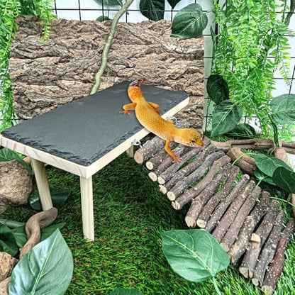 BNOSDM Bearded Dragon Basking Rock Platform with Climbing Ramp Reptiles Hideout Hide Cave Reptile Tank Accessories Suit for Tortoise, Lizard, Toad, Gecko (Small)