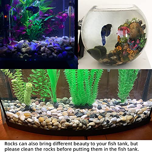 Pebbles for Plants 7 lb Natural River Rocks for Garden Outdoor Aquariums Gravel 1-1.5 Inches - size: 7LB, style: Colour