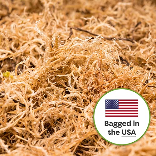 Perfect Plants Premium Sphagnum Moss in 2qt. Resealable Bag | Long fibered Sustainably Harvested Moss | for All Orchid Varieties