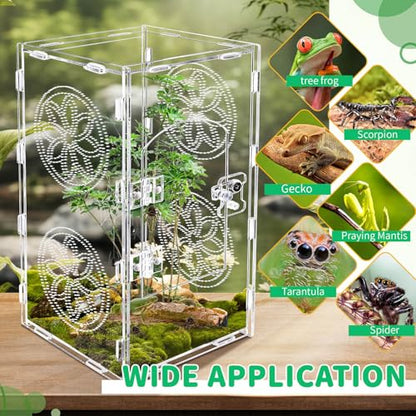 Large Jumping Spider Enclosure, 12x6x6 Inch Acrylic Tarantula Enclosure, Jumping Spider Accessories with Front Opening Door for mantises, Lizards, Frogs and Insects