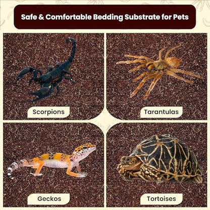 Gro-Med ReptiCare Coconut Fiber Substrate for Reptiles 12 Q, Organic Ready to Use - Odor Absorbent Coco Coir Terrarium Bedding for Ball Pythons, Boas, Snakes, Tortoises, Geckos, Frogs and Tarantulas