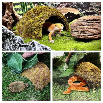 PINVNBY 4 Pack Natural Green Moss Hide Caves Coconut Reptile Hideouts Hamster Climbing Toys Gecko Habitat Decor Lizard Shell Shelter for Snake Tarantulas Turtle Chameleon - size: 4 PCS Moss Surface