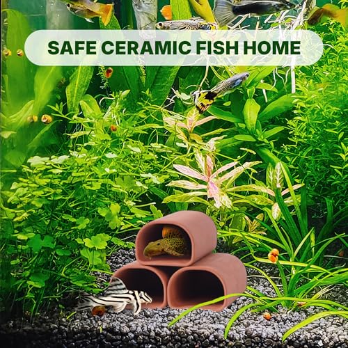 2 pc Oval-Shaped Fish cave,Hide Away Caves for Plecos, (Dark Red-Size M)