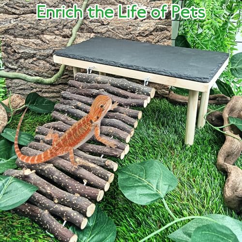 BNOSDM Bearded Dragon Basking Rock Platform with Climbing Ramp Reptiles Hideout Hide Cave Reptile Tank Accessories Suit for Tortoise, Lizard, Toad, Gecko (Small)