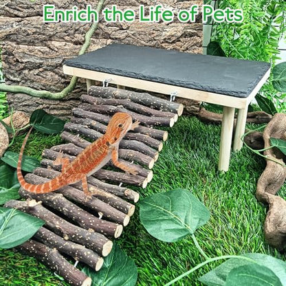BNOSDM Bearded Dragon Basking Rock Platform with Climbing Ramp Reptiles Hideout Hide Cave Reptile Tank Accessories Suit for Tortoise, Lizard, Toad, Gecko (Small)