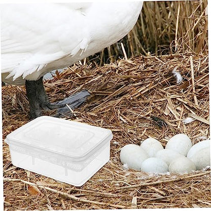 Reptile Egg Incubator Box for Snakes Lizards and Turtles Lightweight Plastic Hatching Case with Transparent Design for Observation and Air Circulation