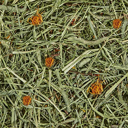 Kaytee All Natural Timothy Hay Plus Marigolds for Guinea Pigs, Rabbits & Other Small Animals, 24 Ounce (Pack of 2) - size: 1.5 Pound (Pack of 2)