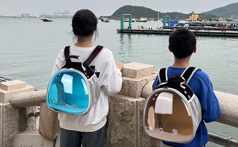 Small Animal Travel Backpack Carrier,Portable Bearded Dragon Bag for Sugar Glider,Hedgehog,Rat,Bunny,Rat,Outdoor Used (Polarized-Brown, New Version Backpack+BP LSH) - color: Polarized-Brown