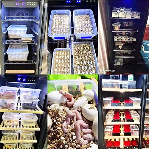 Large Automatic Incubator Incubator Cooling and Heating 41℉ to 100℉ 110V， ReptileIncubator for Hatching Eggs, Reptile Egg Incubator W/Precise Temperature Control LED (155L) - size: 155L