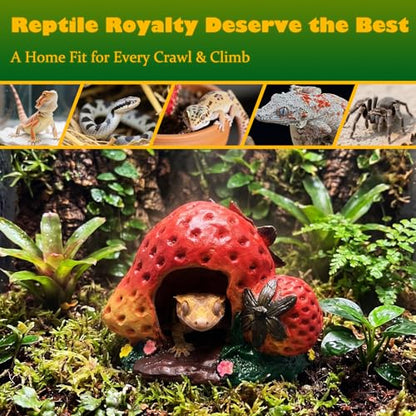 Leopard Gecko Reptile Hide Bearded Dragon Caves Strawberry Lizard Hideout Tank Accessories Crested Snake Décor Amphibian Habitat Decoration - style: STRAWBERRY