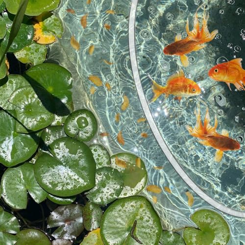 Aquarium Floating Plant Corral, Fish Feeding Ring Can Adjust Height with Water, Aquarium Floating Plant Barrier Suitable for Most Aquariums and Floating Plants