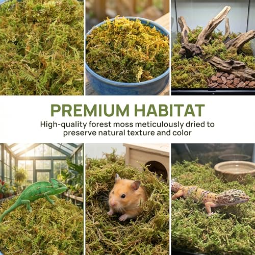 2.5 LB Sphagnum Moss for Plants, Long Fiber Orchid Moss for Carnivorous Plants, Terrariums and Indoor Potting, Compressed Sphagnum Bricks.
