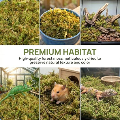 2.5 LB Sphagnum Moss for Plants, Long Fiber Orchid Moss for Carnivorous Plants, Terrariums and Indoor Potting, Compressed Sphagnum Bricks.