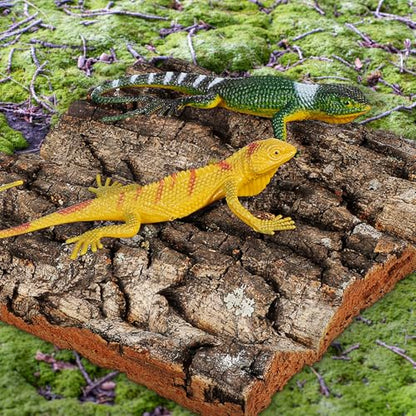 4Pcs Reptile Cork Bark Tank Decor Natural Terrarium Background for Gecko Lizard Bearded Climbing Habitat 5.90X5.90X0.78In