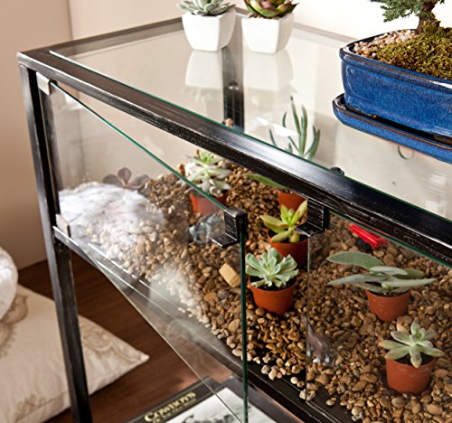 SEI Furniture - Terrarium Display Console - Transitional Design, Black Finish - Ideal for Entryway, Living Room (CK8863) - style: Console Table