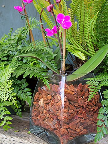 SuperMoss (23114) Orchid Potting Bark, Natural, 4 quarts (Pack of 8) - size: 200 Cu. In., style: Natural