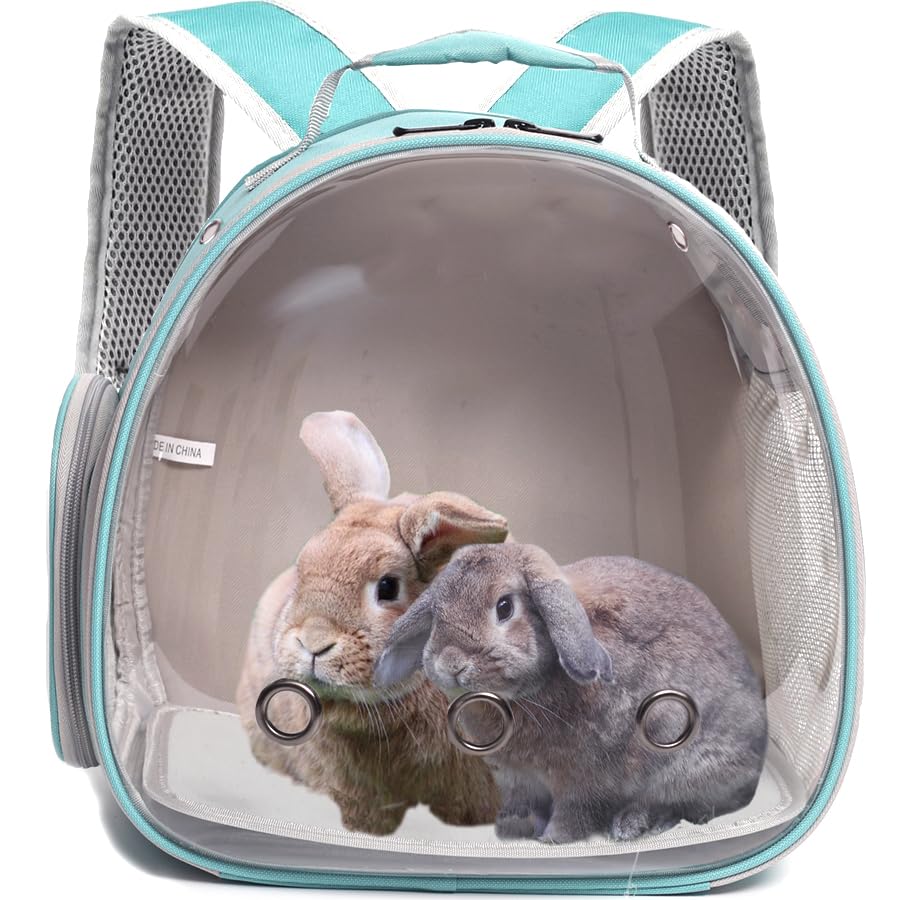 Guinea Pig Backpack Carrier, Bearded Dragon Carrier Backpack with Clear Bubble Window,Small Animal Travel Backpack for Hedgehog Rat，Chameleon,Rabbit,Sugar Glider,Airline Approved (Green, Backpack) - color: Green