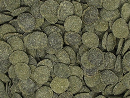 Mini Algae Discs - Sinking Diet for Snails, Shrimp & Bottom Feeding Fish (1.5oz (42,5g))