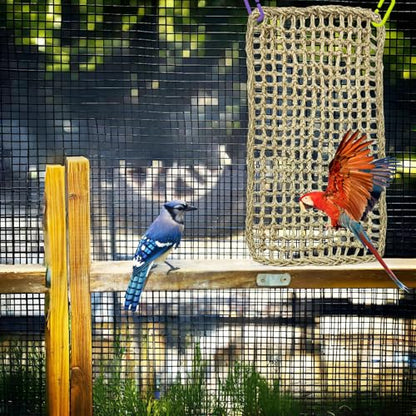 Large Bird Seagrass Mat 24 × 14 ''Natural Seagrass Woven Bird Net Hammock Climbing Rope Ladder with Hooks Chew Toy for Parrot Guinea Pig Lovebird Cockatiel Pigeon - size: 2Pcs 23.6" × 13.8"