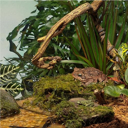 Tetra ReptoHabitat Kit for Aquatic Reptiles and Amphibians, 15 Gallons, Create a Home for Aquatic Juvenile Turtles, Frogs, Newts and Salamanders, 24.4 x 12.5 x 12.7 inches - size: 15 gallon